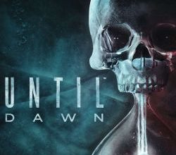 Until Dawn